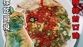 爱上川菜,探寻爱上川菜的奥秘之旅