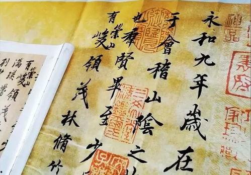 以昭为光向庭而生,探寻生命之源的奇妙旅程