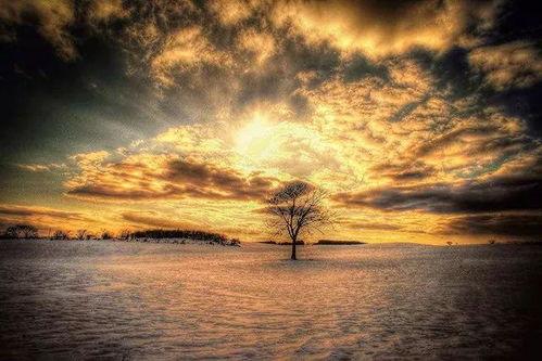 宏图暗角,揭秘未来世界的阴影面