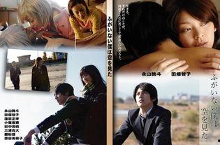 无用的我看见了天